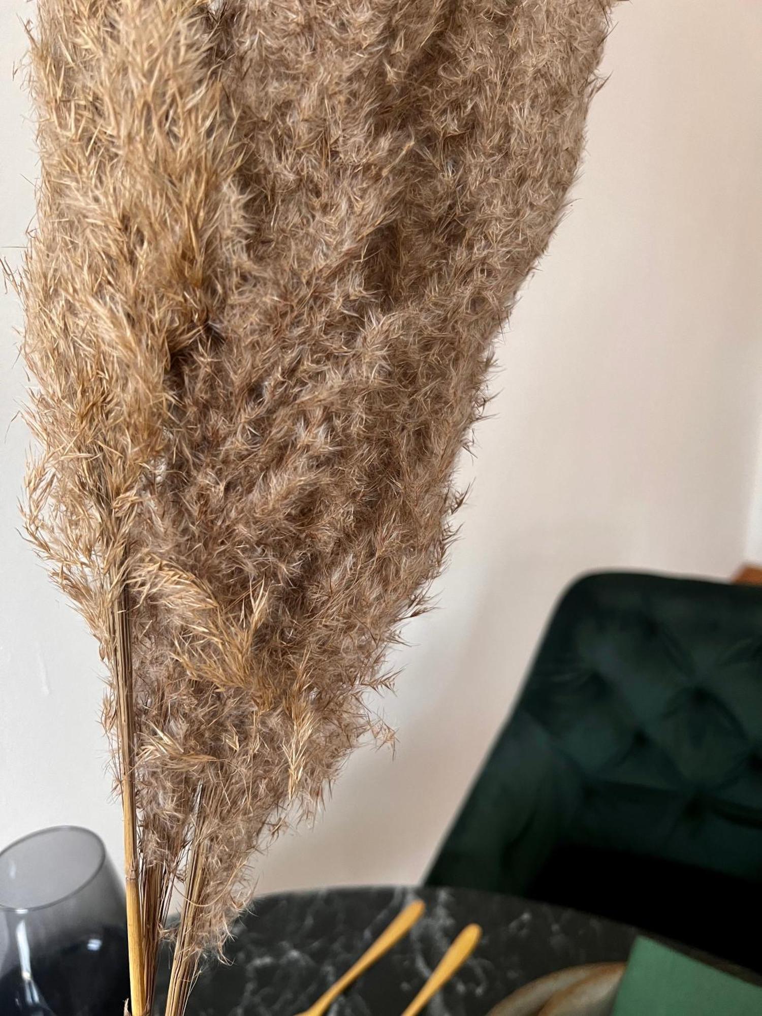 City Apartment ウィーン エクステリア 写真